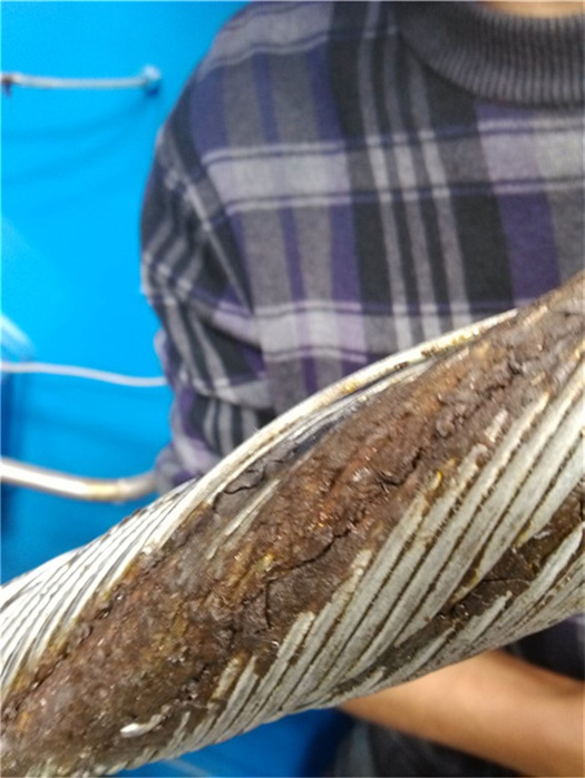 91视频污片儀