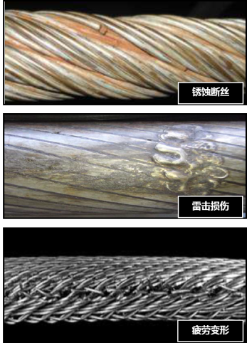 91视频污片
